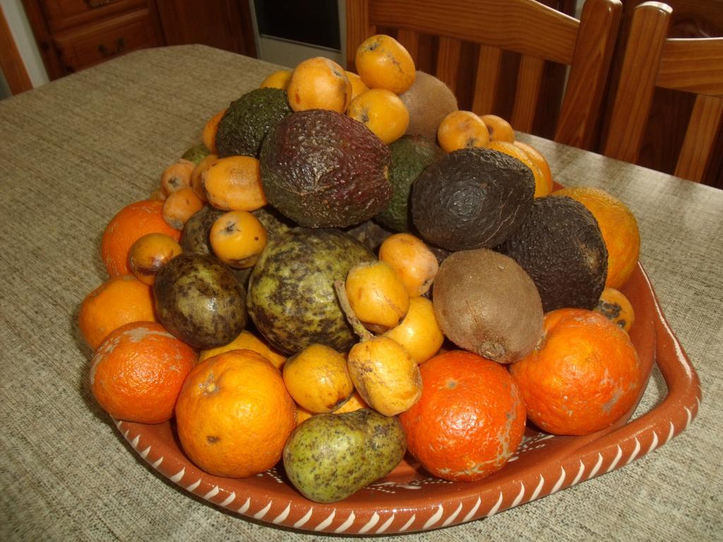 Отель Tropical Fruit Garden Велаш Экстерьер фото